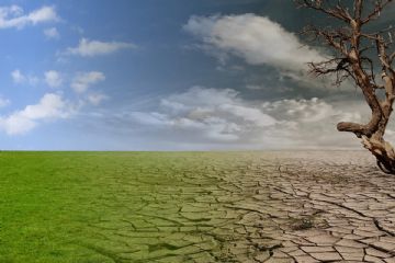 Danni all&#39; agricoltura per la siccit&#224; 